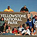Flying Pig Yellowstone Summer Family Packages - Let us help you plan 3, 5 or 7-day itineraries. From cabin lodging to rafting and horseback to cookouts, from Park tours and guided hikes to wildlife safaris & campouts.