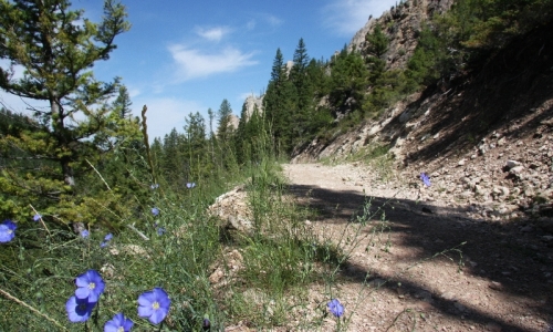 Bear Canyon Bozeman Montana