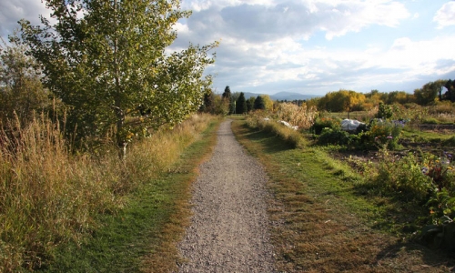 Bozeman Hiking Trails