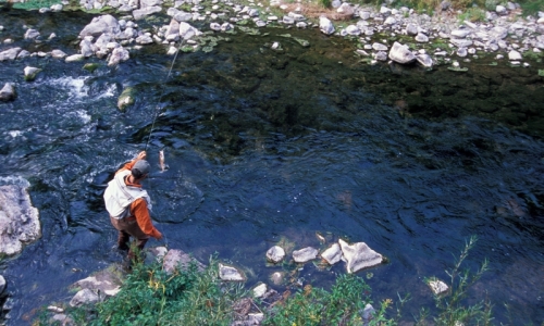 West Boulder River Montana Fly Fishing