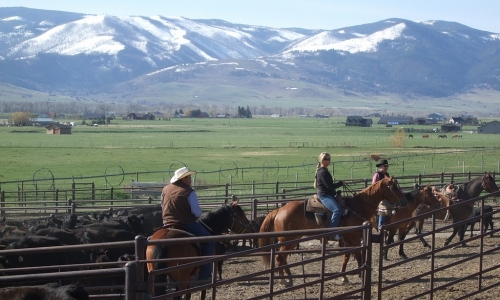 Gallatin Gateway Montana