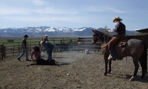 Gallatin Gateway MT