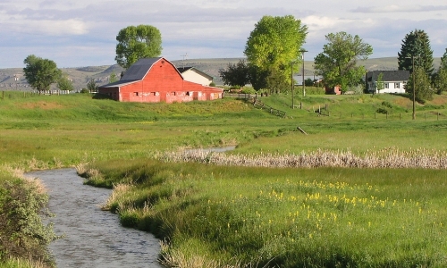 Manhattan Montana Ranch