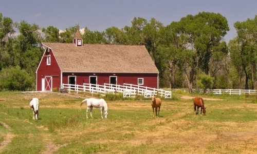 Three Forks MT