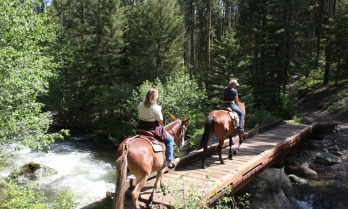 Bozeman Outdoors