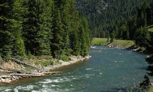 Montana Gallatin River Canyon