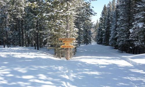 Bozeman Montana Cross Country Skiing