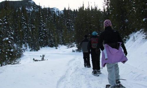 Bozeman Snowshoeing