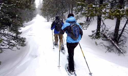 Bozeman Snowmobile