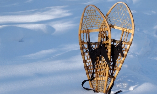Bozeman Montana Snowshoeing