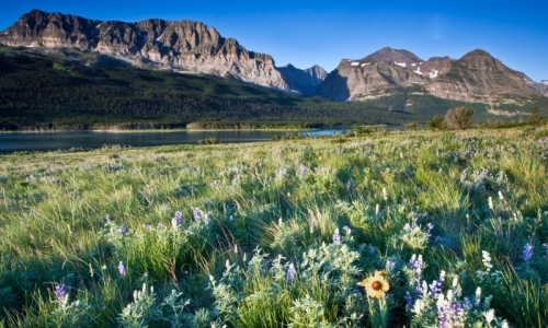 Glacier National Park