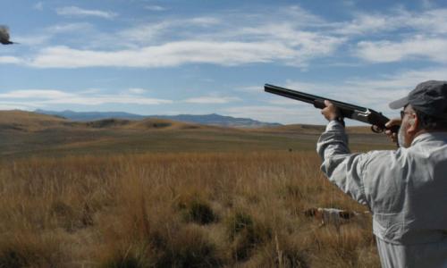 Hunting at Grey Cliffs Ranch in Bozeman Montana