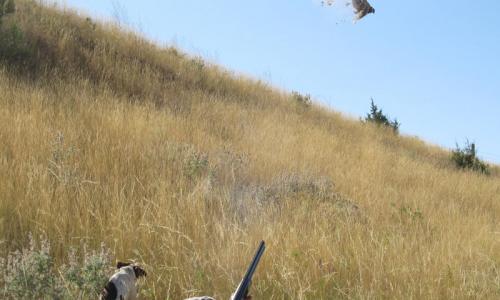 Hunting at Grey Cliffs Ranch in Bozeman Montana