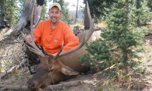 Red Lodge Elk Hunting