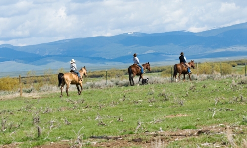 Bozeman Montana Horse Pack Trips