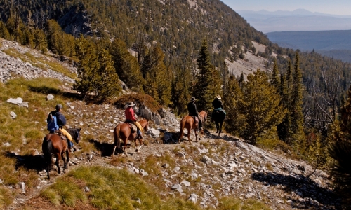 Bozeman Horse Pack Trips
