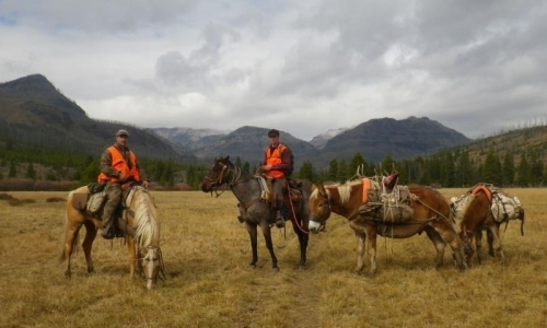 Red Lodge Horse Trips