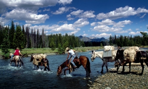 Yellowstone Horse Pack Trips