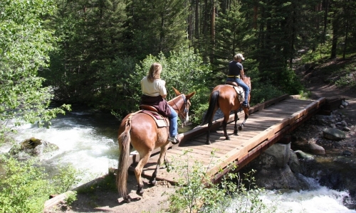 Bozeman Horseback Riding