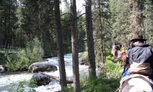Bozeman MT Horseback Riding