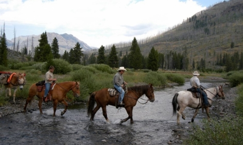 Yellowstone National Park Horseback Riding