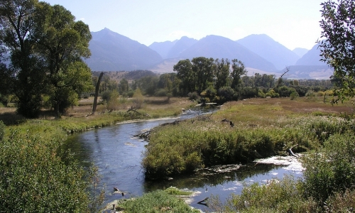 Livingston Montana Ohair Spring Creek