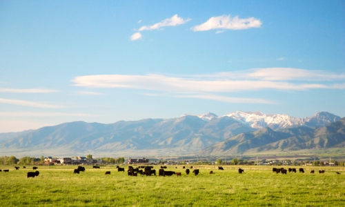 Gallatin Valley Bridger Mountains Bozeman Montana