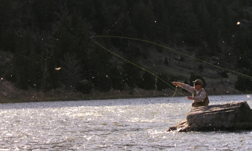 Bozeman Montana Activities
