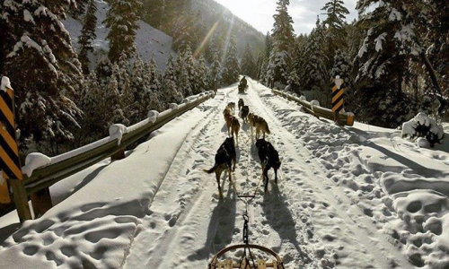 Bozeman Winter Vacation