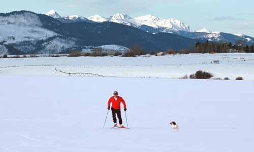 Skate skiing with a dog in Bozeman Montana.