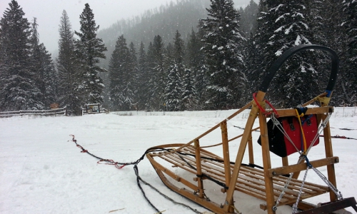 Bozeman Dog Sledding