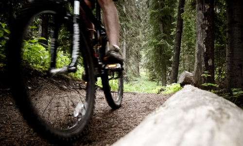 Bozeman Mountain Biking