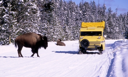 Bozeman Yellowstone Snowcoach