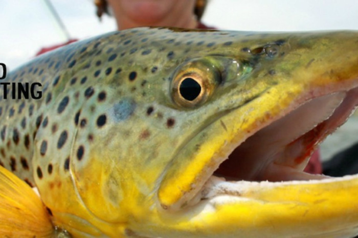 Hooked Outfitting — Ennis, MT