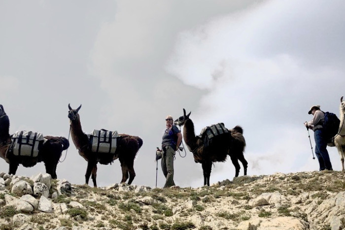 Montana Llama Guides — , 