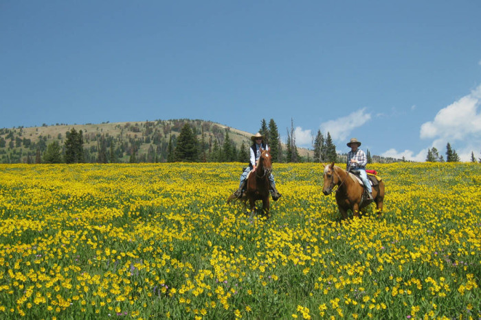 Dude Rancher's Association — Cody, WY