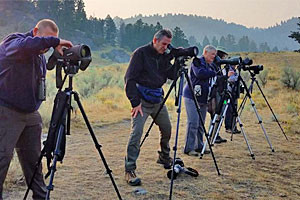 In Our Nature Guiding Svcs | Photograph Wildlife
