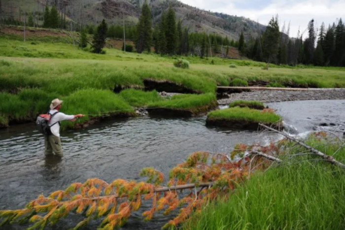 GYFO - Greater Yellowstone Fly Fishers — Bozeman, MT