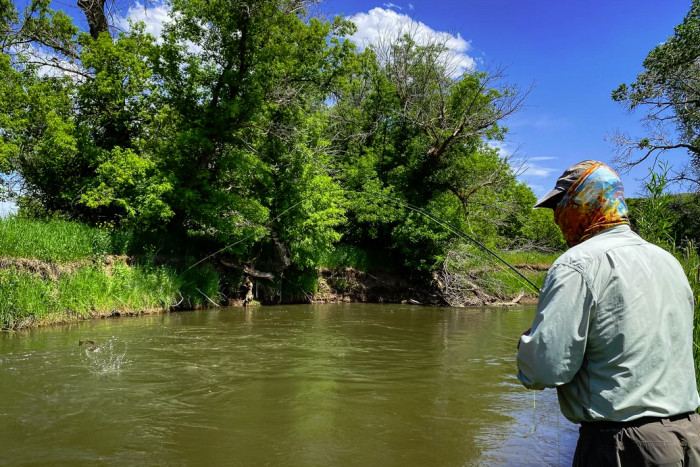 Greater Yellowstone Fly Fishers — , 