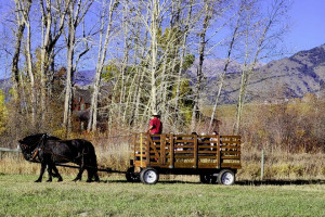 Sunrise Pack Station - Bozeman Hay Rides