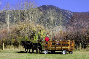 Fall Hay Rides All Ages