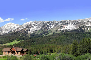Bridger Vista Lodge | pets are welcome