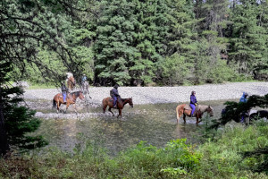 Family Memories Since 1917 | Hawley Mtn Ranch