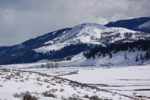 Yellowstone Hiking Guides | Winter Park Tours