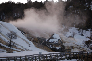 Yellowstone Winter Wildlife & Hot Springs Tour