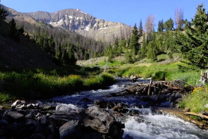 Guided Camping & Hiking Adventures in Yellowstone