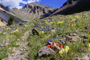 Hiking & Trekking to Peaks inside Yellowstone