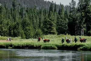 Yellowstone Pack Trips | Hiking & Llama Treks