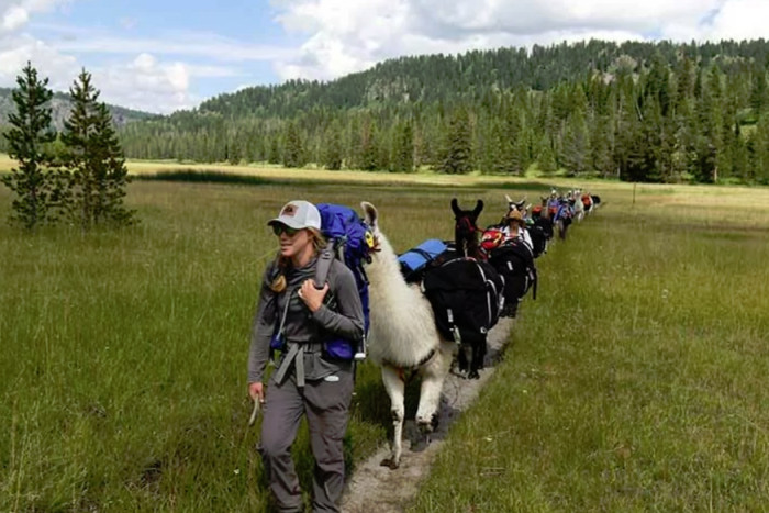 Wildland Trekking Company — Zion National Park, UT