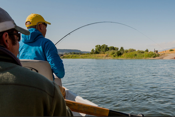 Montana Fly Fishing Guides LLC — Livingston, MT